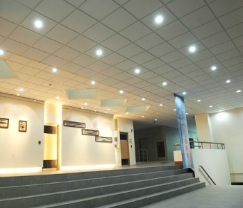 Madonna Ceiling Decorations Chungam Thrissur Kerala